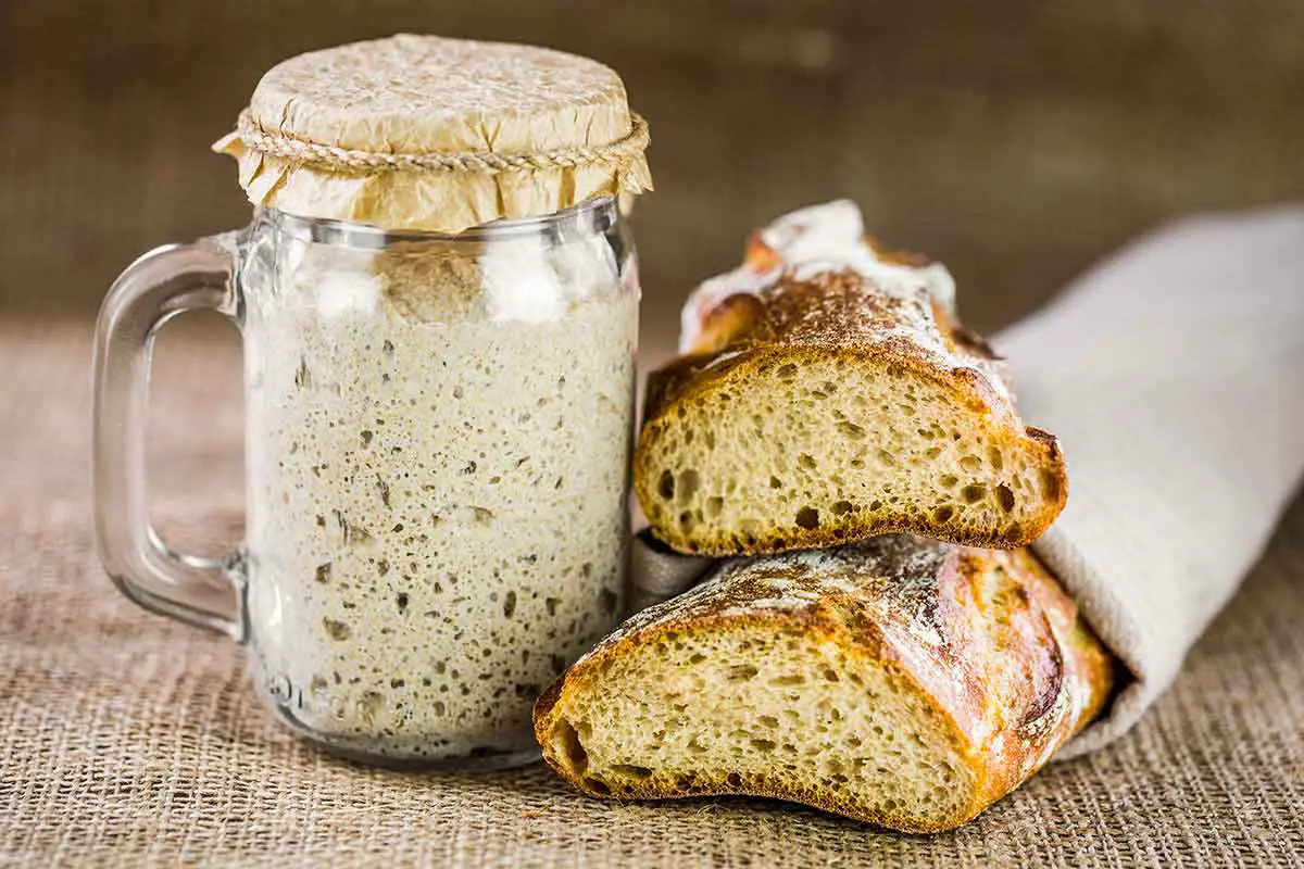 un délicieux levain prêt à être utilisé pour faire du pain