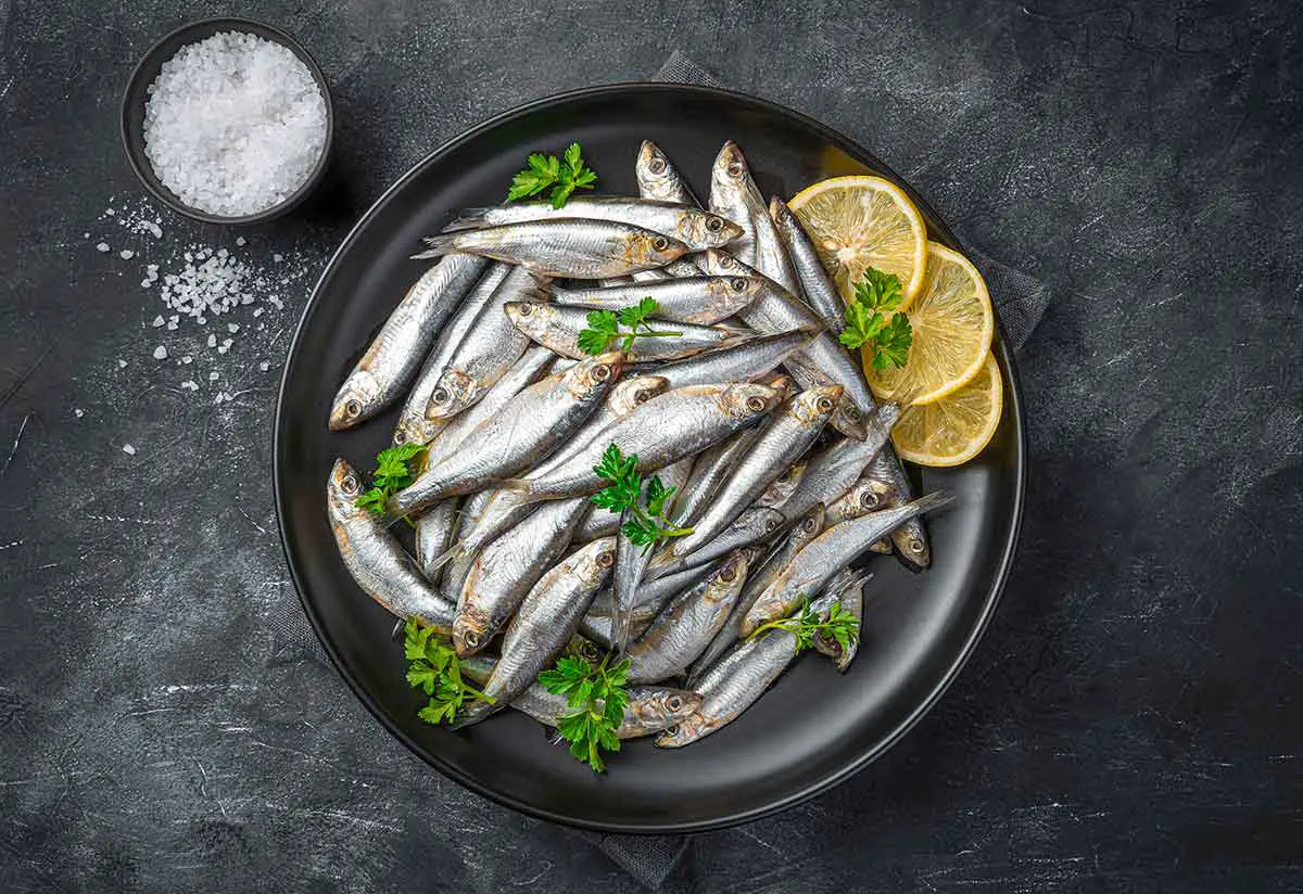 Anchois frais 
