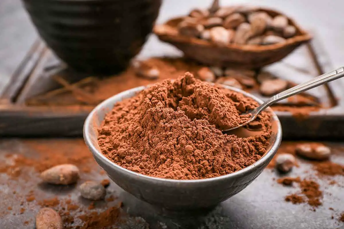 cacao en poudre