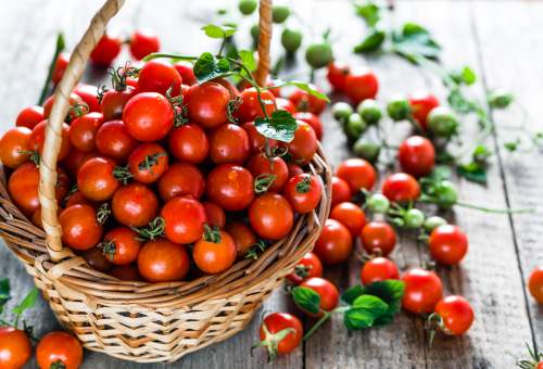 tomates cerises