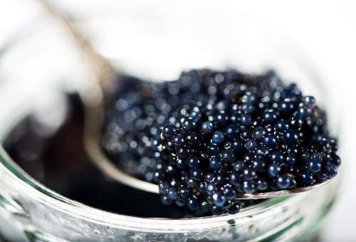 caviar