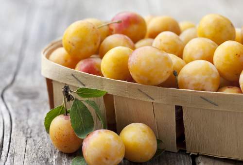 mirabelles