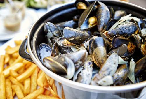 Le mollusque de la semaine - Page 3 Moules-mariniere-with-french-fries-484168602_5575x3717