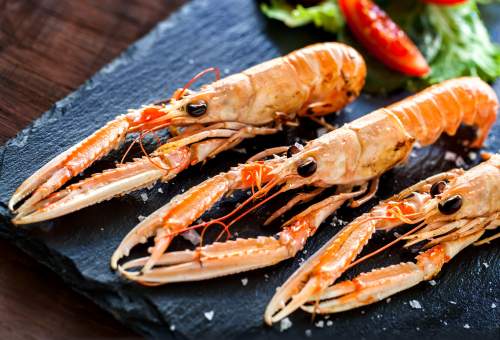 langoustines