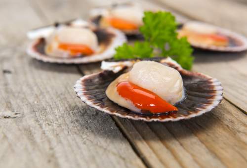 coquilles saint jacques, st jacques